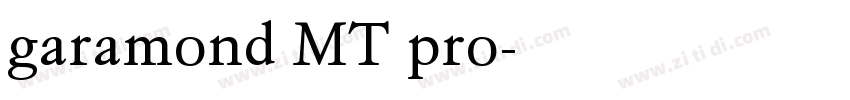 garamond MT pro字体转换